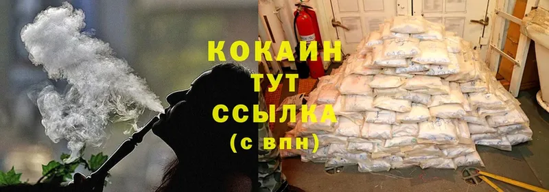 COCAIN Fish Scale  кракен как войти  Советский  хочу  