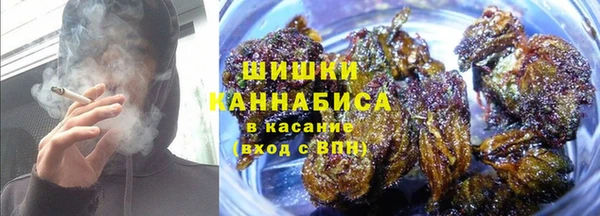 индика Гусиноозёрск